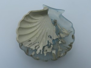 "Muszla karbowana" nr 2