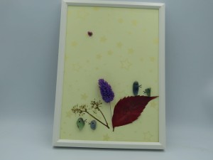 Obrazek "Sierpówki w Zaroślach" nr 1