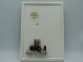 oro1a.JPG