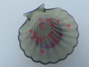 "Muszla karbowana" nr 6